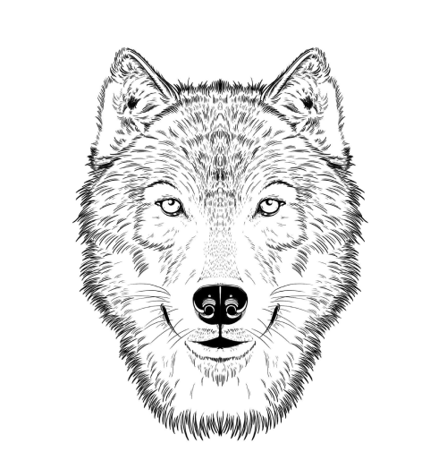 timberwolf logo from the preserve